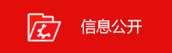 信息公开